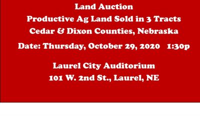 3 tracts of productive farm ground totaling 171.27 +/- acres – Dixon & Cedar Co – SOLD