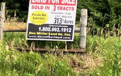 For Sale in Dixon County, Nebraska | Farmland and pasture 313.15 +/- tax acres SOLD