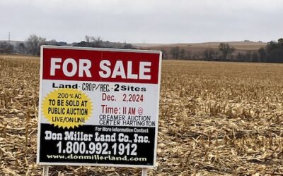 For Sale in Dixon County, Nebraska | 200 +/- acres cropland – SOLD