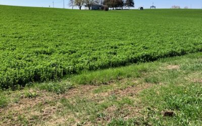 609 Main St., Crofton, NE 68730 | 8.53 +/- Acres | SOLD