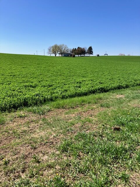 609 Main St., Crofton, NE 68730 | 8.53 +/- Acres | SOLD